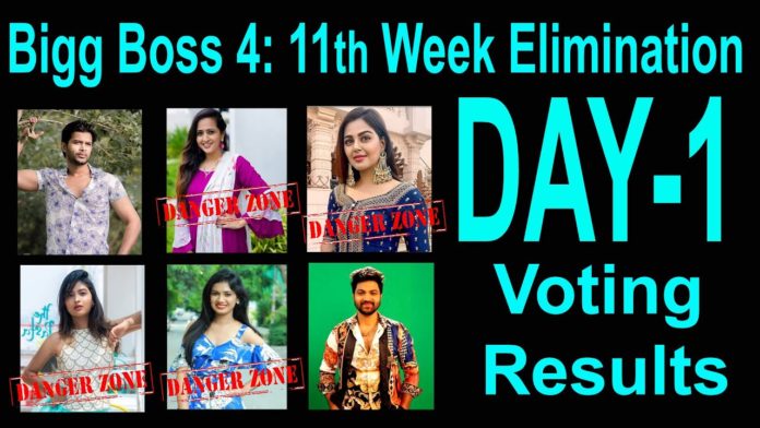 Bigg Boss 4 Telugu Voting Results 17th november