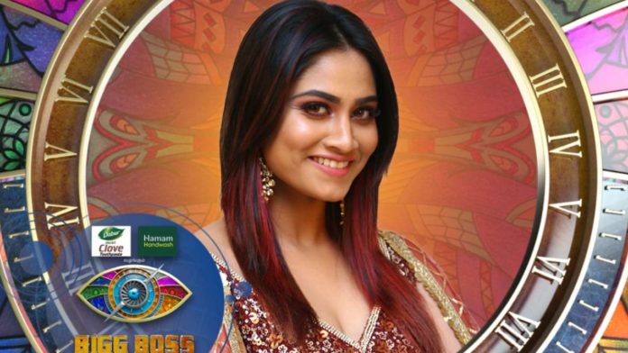 shivani eliminacja bigg boss tamil 4