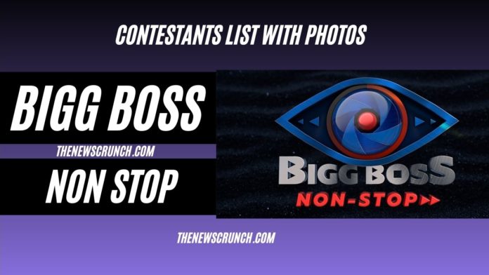 bigg boss non stop contestants list