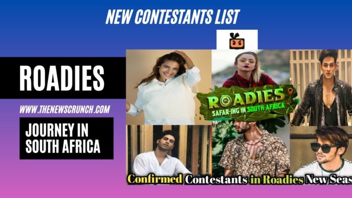 roadies journey in south africa contestants list